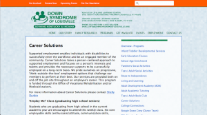 DSL Career Solutions web page image